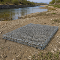 Galvanized PVC Coated Gabion Basket, Steel Gabion Cages for Retaining Walls, High Resistance for Flood Control, Riverbank Protection