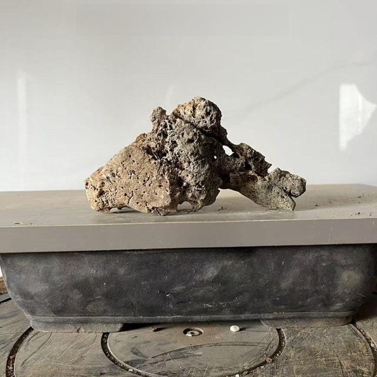 Taihu Stone Ornament for Aquarium and Bonsai Decor