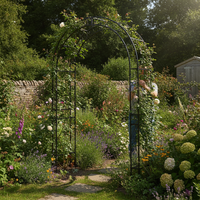 European Vintage Wrought Iron Garden Arch for Climbing Plants
