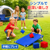 bean bag toss game set