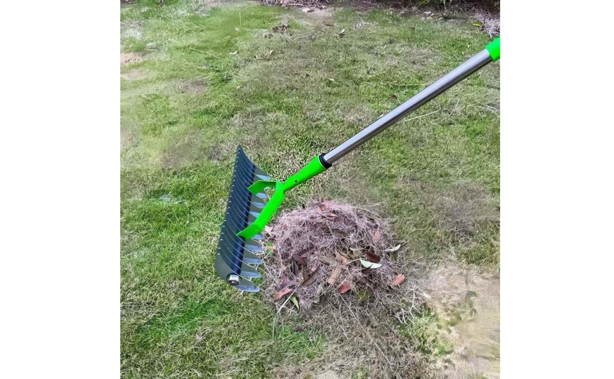 Stainless Steel Garden Unwanted Growth Rake Curved Frame Lawn Dethatcher Closely Spaced Tines Soil Loosening Rake Long Handle