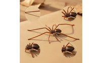 Spider Fridge Magnetic Piece Realistic Spider Magnetic Piece Novelty 3D for Collectors, Refrigerator, Halloween
