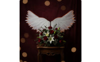 Feather-Like Angel Wings Lightweight Craft Wings 3D Ornaments Mini for Photo Shoots