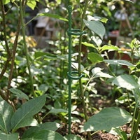 Outdoor Plants Garden Stakes for Plant Support, Heavy Duty Metal Garden Rods for a Tomato Plant, Coated Steel Straight Plant Stakes, 25 Pack