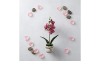 Scalloped Rim Potted Blossom Arrangement Textured Pot Artificial Blossom Plant Rope Bow Simulated Floral Display Indoor