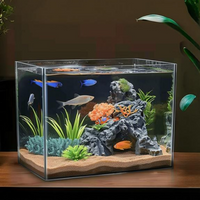 Mini Desktop Aquarium with Lid, Filtration, Oxygenation