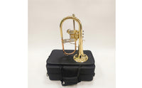 Flugelhorn with Case Rich for Beginners, Rehearsals