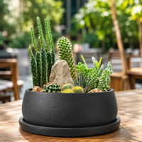 planter pots