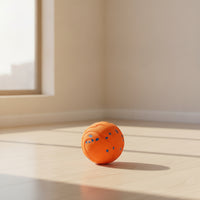 Textured Interactive Dog Ball Durable Interactive Pet Ball Lightweight for Fetch