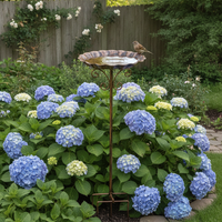 Vintage American Style Cast Iron Bird Feeder & Water Bath for Garden Decoration
