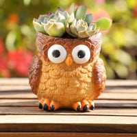 Owl Planter Tabletop Owl Flower Pot Garden