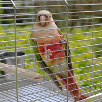 Handheld Bird Cage, Extra Large 304 Stainless Steel Bird Carrier with Wood Perch, Portable Outdoor Cockatiel Cage and Bird Cage with Cover