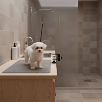 Grooming Table Restraint Anti-Flee Design Pet Grooming Loop No-Sit Haunch Holder Adjustable Rust-Resistant Alloy Buckle