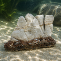 Aquarium Taihang Mountain Rockery Ornament for Fish Tank Landscaping
