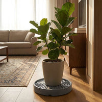 Plant Saucer with Invisible Tray and Roller Tray, Thickened Watering Tray with Universal Wheels, Indoor Outdoor Garden Plant Stand for Pots