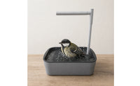Bird Bath with Spray Bar Automatic Bird Bath Pet Supply for Small Birds