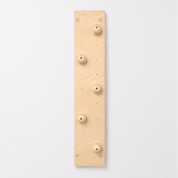 climbing wall panel