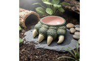 Reptile Talon Bowl Not Easily Tipped Over Amphibian Food Water Bowl Amphibian Water Dish Even Interior Surface Terrarium