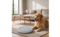 Raised Rim Flying Disc Dog Toy Lightweight Flying Disc Fetch Toy Long-Lasting Pet Flying Disc Safe on Teeth for Young Dogs, Park, Backyard