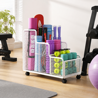 mobile storage rack