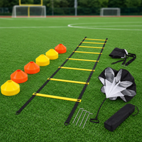 agility ladder set