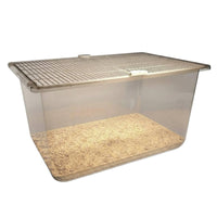 Ventilated Top Large Transparent Hamster Enclosure Good Ventilation 65cm Hamster Enclosure Easy to Clean Deep Base Rodent Enclosure Escape-Proof Design for Children, Parents, Indoors, Indoor, Bedroom, Living Room