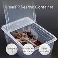 Amphibian Breeding Box, Transparent Stackable Vivarium