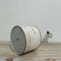 Faucet-Top Planter Weathered Vintage Iron Planter Indoor Outdoor Use