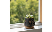 Skull Planter Ornate Planter with Skull Relief Flowerpot Decorative Halloween for Goth Decor Lovers, Desk, Windowsill