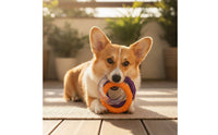 Interconnected Rings Toy Interactive Dog Tug Loop Bite-Resistant Tug Loop Toy for Young Dogs, Pet Owners, Indoor Play