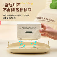 Multifunctional Tissue Box with Storage for Figures, Large, PET