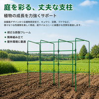 Plant Support, Stakes, Trellis, Gardening Stakes, Iron, Green, Houseplants, Climbing Plants, For Garden, Home Vegetable Gardens, Square Modular