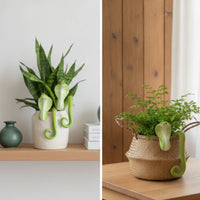 Pot Huggers with Reptilian Pattern Decorative Plant Pot Huggers Playful Hanging Basket Ornament for Interior Stylists