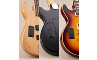Shallow Power Holder-Profile Case with Hinged Cover Powered Guitarists, Bassists, Guitar Wiring, Bass Repair