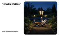 Solar Duck Garden Light Weather Resistant Duck Garden Statue Long-Lasting