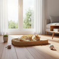 Large Size Cat Scratching Basin Includes Ball Toy Cat Scratcher Bed for Cats