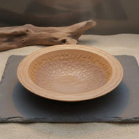 Turtle Bath Basin Low Entry Tortoise Water Bowl with Ramp Tortoise Soaking Dish Anti-Drowning Design Amphibian Water Bowl