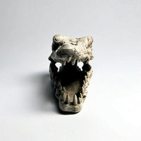 Lifelike Crocodile Skull Hide Weathered Reptile Hide Hollow Terrarium Ornament Long-Lasting for Vivarium