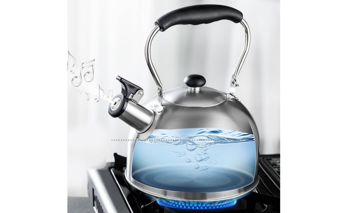 Steaming Kettle Heat-Resistant Handle Whistling Kettle Easy to Clean Stainless Steel Tea Pot for Families, Kitchen