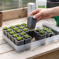 Translucent Gray Plastic Succulent Planter Pot with Tray and Seedling Tray for Balcony Gardening