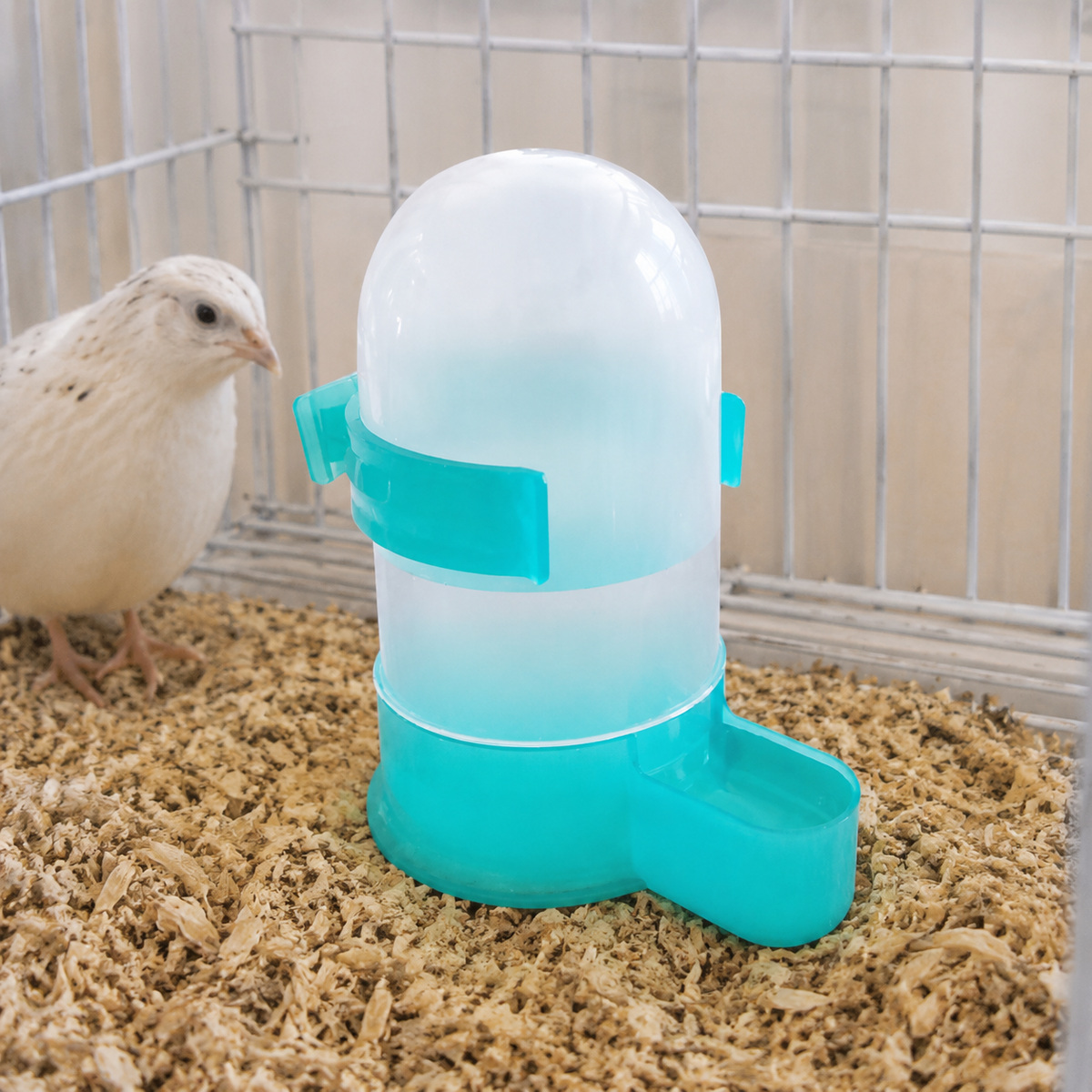 Quail Feeder Waterer Set Polymer Feeder with 12 Holes, Translucent Blue & Teal, Tidy Hygienic Less Waste for Smallholder Backyard Quail