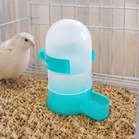 Quail Feeder Waterer Set Polymer Feeder with 12 Holes, Translucent Blue & Teal, Tidy Hygienic Less Waste for Smallholder Backyard Quail
