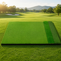 golf hitting mat