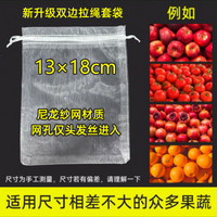 水果套袋防乌防虫专用网袋葡萄无花果瓜果桃子保护袋子石榴梨子