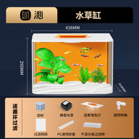 桌面小鱼缸客厅小型一体免换水2025新款生态缸懒人家用造景水族箱