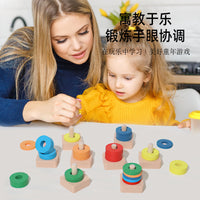 Wooden Color Sorting Column Toy for Kids, Montessori Educational Toy