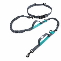 Woven Strap Handsunrestricted Dog Leash Set Metal Clips Waist Belt Leash Set Adjustable Stretchy