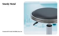 Anti-static Workstation Stool Adjustable Height 360 Swivel for Labs