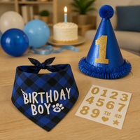 Pet Dog Birthday Party Decoration Set with Bandana, Hat, and Bow Tie