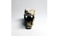 Lifelike Crocodile Skull Hide Weathered Reptile Hide Hollow Terrarium Ornament Long-Lasting for Vivarium